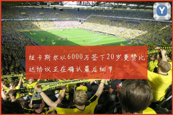 纽卡斯尔以6000万签下20岁曼赞比达协议正在确认最后细节