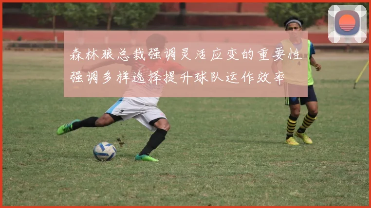 森林狼总裁强调灵活应变的重要性强调多样选择提升球队运作效率